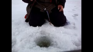 Ловля сорожки зимой на Горьковском водохранилище!