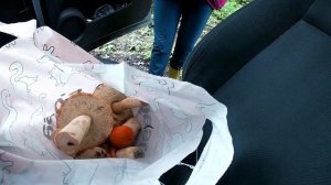 На Кижи на машине. Дорога, красоты Заонежья, остров после реставрации...