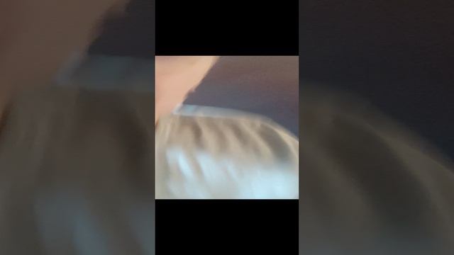 калорифер для гастарбайтеров 2