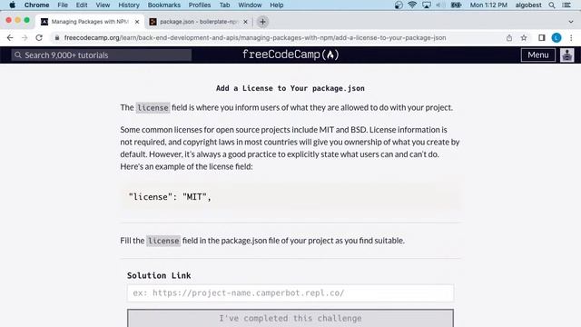 freeCodeCamp - Back End Development and APIs - Managing Packages with NPM - Solution