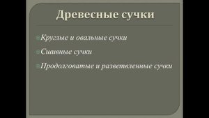 Строительные материалы 1. Изучение основных пороков древесины.