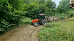 КАК И ЧЕМ ВОЗЯТ ДРОВА В РАЗНЫХ СТРАНАХ МИРА #2 / TRANSPORTATION OF FIREWOOD IN DIFFERENT COUNTRIES