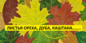 Листья  грецкого ореха - мульча.