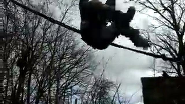 Канатная дорога в саду