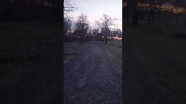 Психосоматика.Поняття цілісності.Понятие целостности.