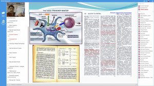 Трансфер факторы. Инструкция по выживанию. Тубаева Надежда