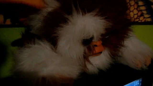 Test Vídeo: Olympus 3000, Canon PowerShot D10 y Nikon AW100 смотреть онлайн