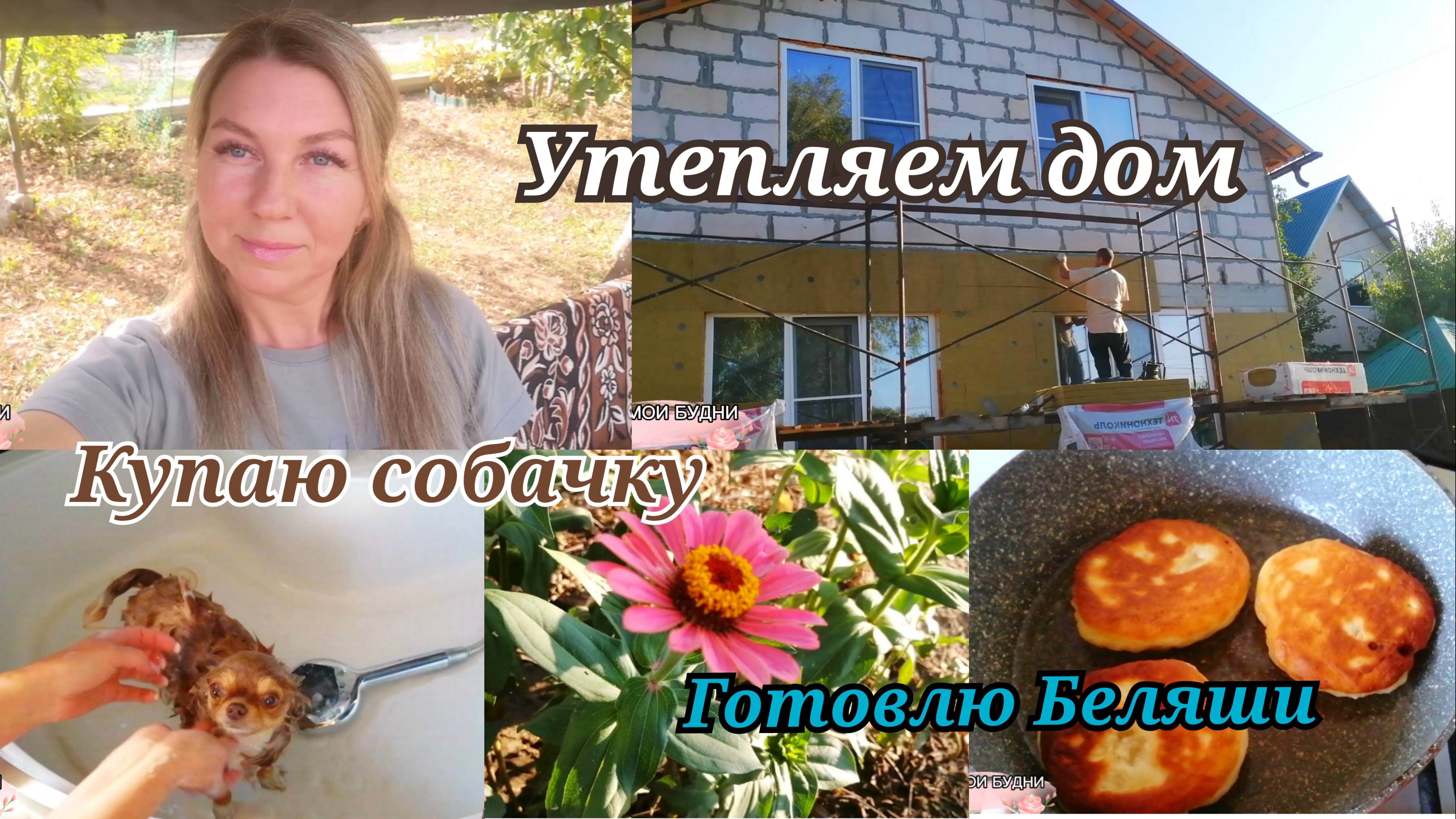 VLOG:КУПАЮ СОБАЧКУ 🦮 /ГОТОВИМ ДОМ К ЗИМЕ 🏡/Готовлю беляши #уборкадома #буднимамы #уборка