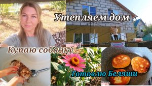 VLOG:КУПАЮ СОБАЧКУ 🦮 /ГОТОВИМ ДОМ К ЗИМЕ 🏡/Готовлю беляши #уборкадома #буднимамы #уборка