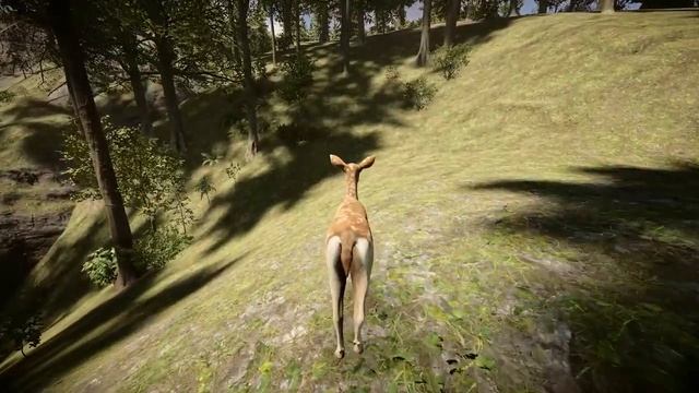 Playing As A Deer NPC | Sons of the Forest Mods