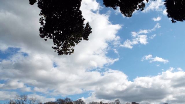 John Rutter: Chanson - Suite Antique смотреть онлайн