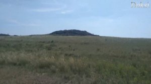 Оренбургская степь. Russian Steppe. Estepa rusa.