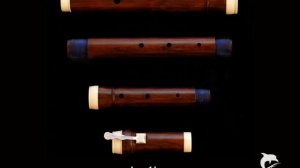 Flute Traverso/ Baroque flute  A.  Grenser    C.P.E. Bach- Sonata a