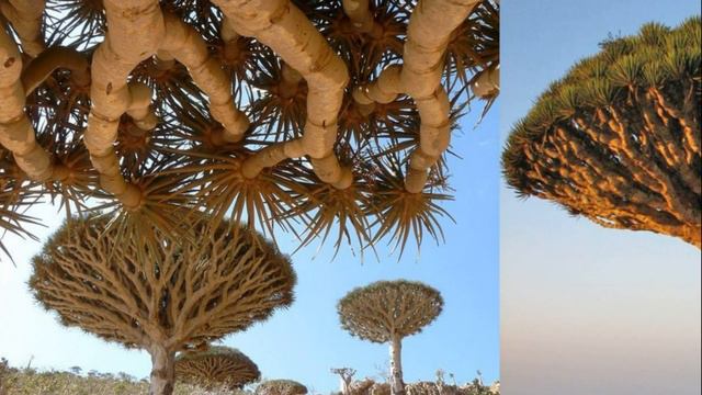 Самые загадочные МЕСТА на ПЛАНЕТЕ смотреть онлайн