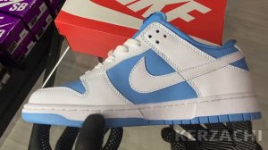 ОБЗОР Nike Dunk Low "Reverse UNC" Premium