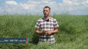 Озимый рапс: технология возделывания и защиты (СПК "Свислочь"). ДНИ ПОЛЯ - 2020.