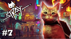 STRAY #7 / МЫ ЕЁ НАШЛИ!