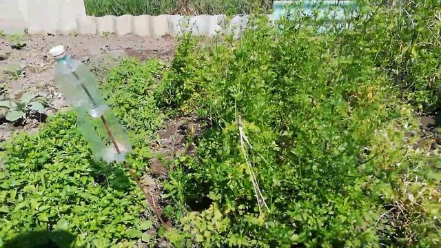 Огород часть 2.1 смотреть онлайн