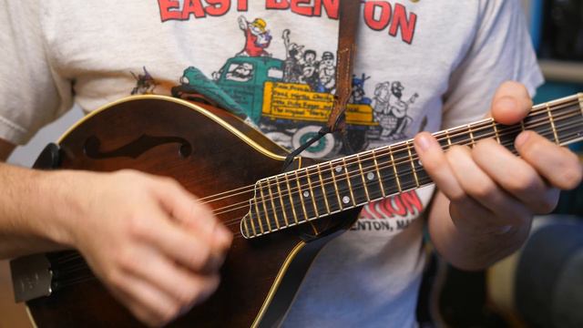 Fly Around My Pretty Little Miss Simple To Complex - Mandolin Lesson