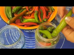 ️Маринованные Острый перец на зиму. Острый перец в томатном соусе