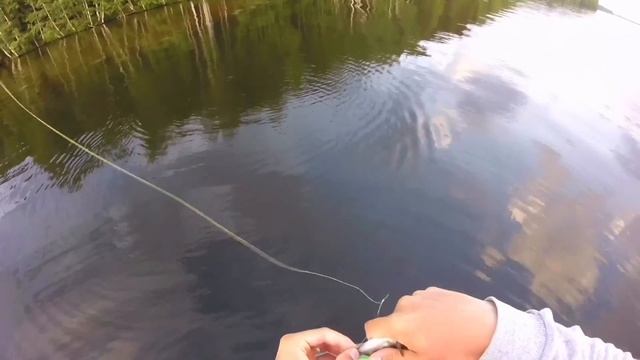 Рыбалка с ночевкой на десногорского окуня смотреть онлайн