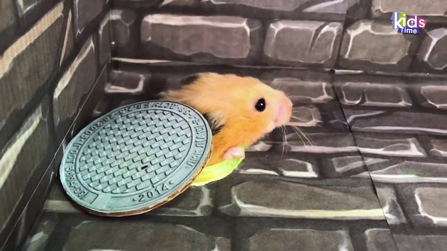 Лабиринт ТЮРЬМА  для хомячка с ловушками