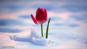 Шопен Вальс. Лучшее