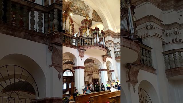 Harmonic melody of violin and organ.  Wedding ceremony. 220423D смотреть онлайн