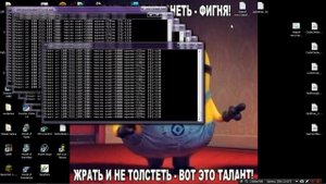 dDos Атака на Сайт