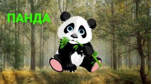 Животные для детей | сборник видео про диких зверей | дикие животные | милые животные