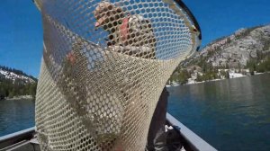 CDFW Creating Lahontan Cutthroat Trout Sport Fishery at Echo Lake