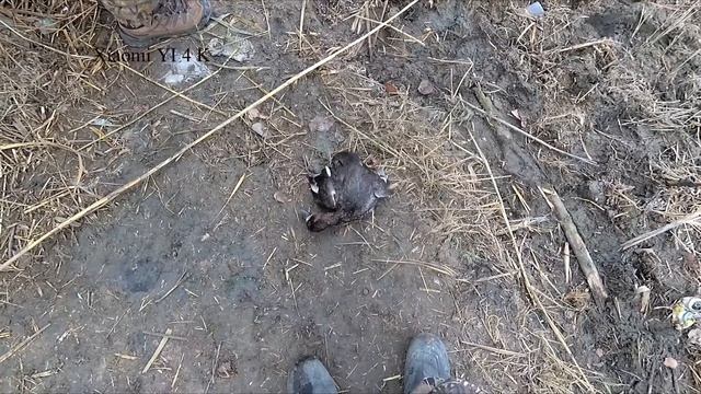 Охота на утку с квадрокоптером 10-12.11.2018 год смотреть онлайн