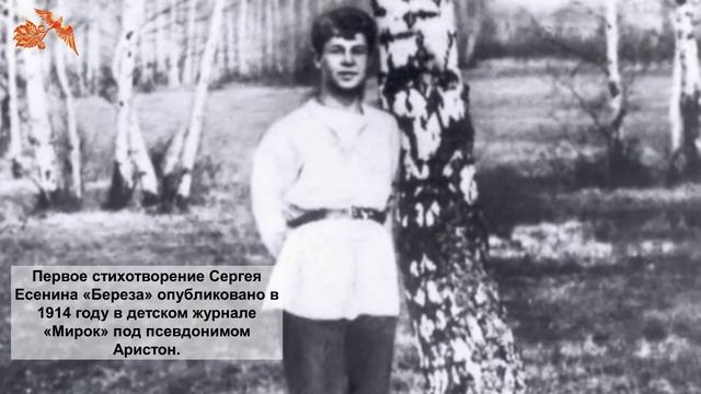 Культура для школьников / С.Е. Есенин смотреть онлайн