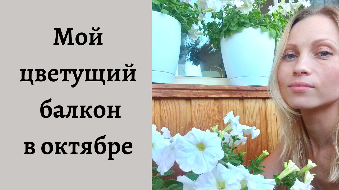 Мой цветущий балкон, октябрь 2022г. смотреть онлайн