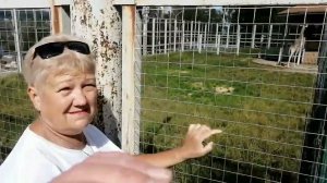 Семейный туризм г. Красноярска.