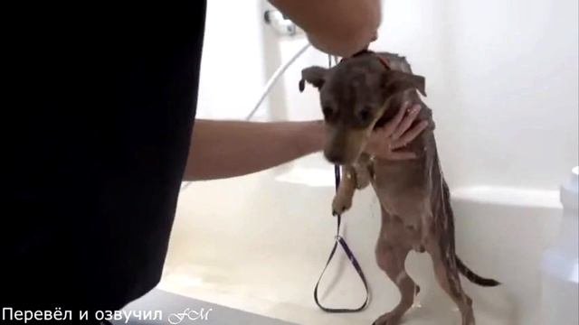 На него было невозможно смотреть. Но посмотрите, что сделали врачи!