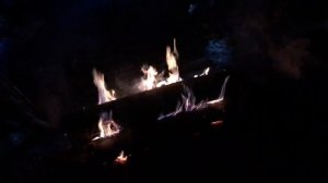 Зимний поход в лес с ночевкой. Без палатки. Много Юмора