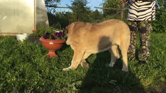 Парень свободен можно спросить смотреть онлайн