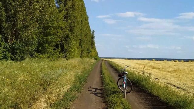 Родные просторы. Воронежская область, Новоусманский район. Июль 2021г