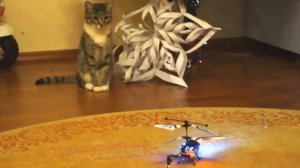 Вертолет на пульте управления в руках у супер пилота Алисы Helicopter on the remote control