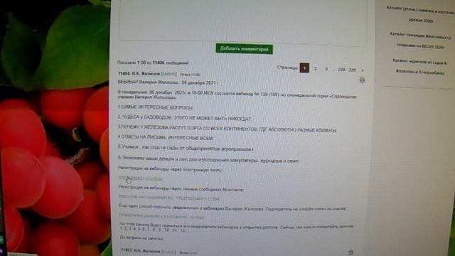 Железов В. Краткая инструкция по уничтожению садов.mp4
