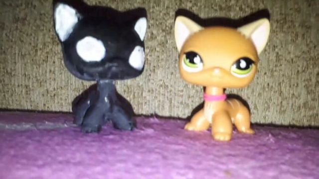 Lps~я заболела??? Новый сериал будет??Настя смайл прославилась только благодаря дневника толстушки? смотреть онлайн