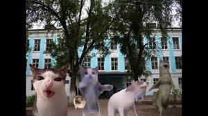 Шнип шнап шнапи