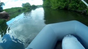 Анонс, ловля голавля на крапивную гусеницу