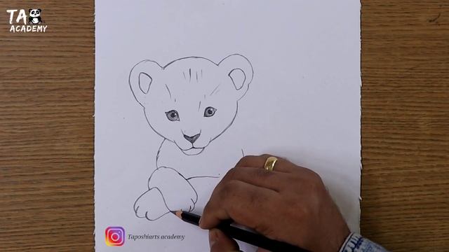 cute lion cub pencildrawing@TaposhiartsAcademy смотреть онлайн