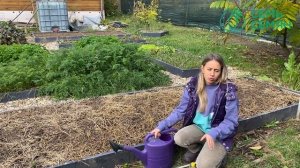 Куда деть растительные остатки после уборки сада!