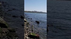 Морская рыбалка на пеленгаса в Мариуполе...