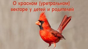 О красном векторе у детей и родителей