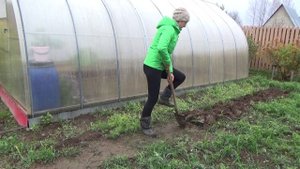 6 соток 20 октября 2023 года Хроника.