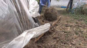 Как я НАБИВАЮ РЕПТУХ. Кормушка козам